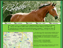 Tablet Screenshot of pastvina.raketka.com